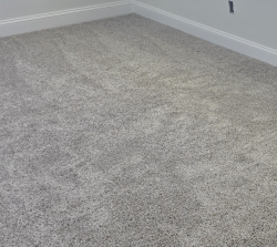 Image depicting the Service Carpet